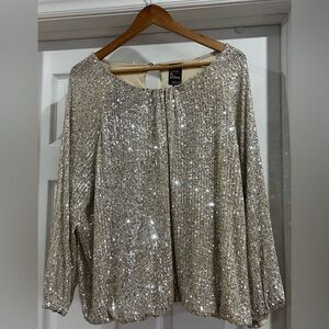 Reitmans Silver Sequin Top